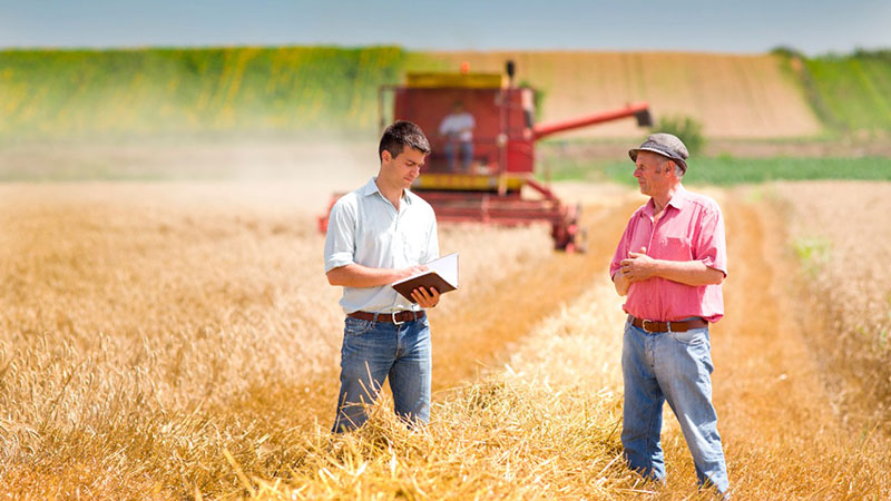 farmer-field